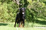 BEAUCERON 958